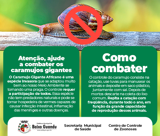 Rio Doce em Pauta Publicidade 300x250